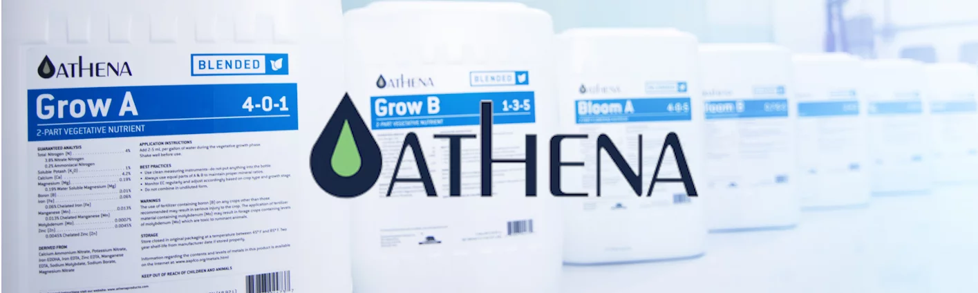 tabla de cultivo Athena